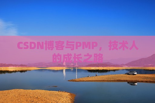 CSDN博客与PMP,技术人的成长之路